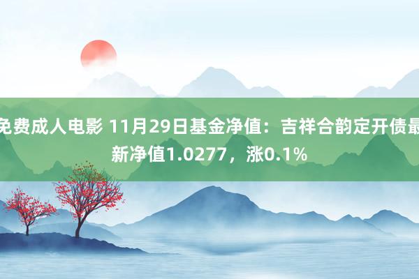 免费成人电影 11月29日基金净值：吉祥合韵定开债最新净值1.0277，涨0.1%