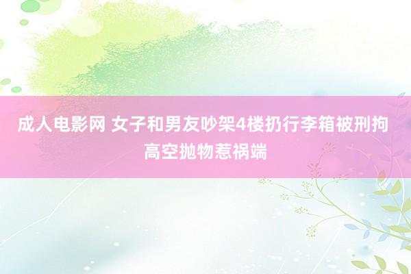 成人电影网 女子和男友吵架4楼扔行李箱被刑拘 高空抛物惹祸端