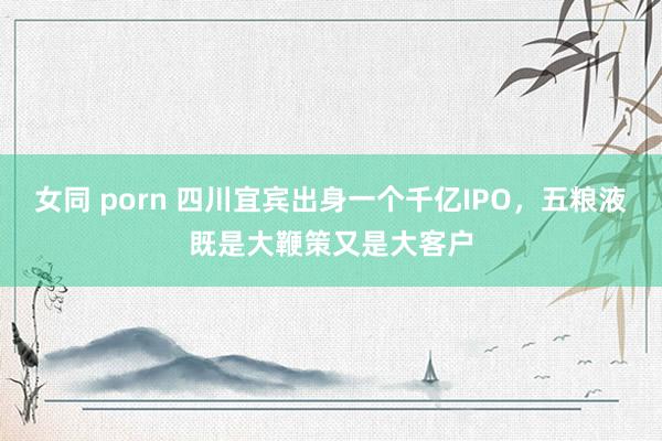 女同 porn 四川宜宾出身一个千亿IPO，五粮液既是大鞭策又是大客户